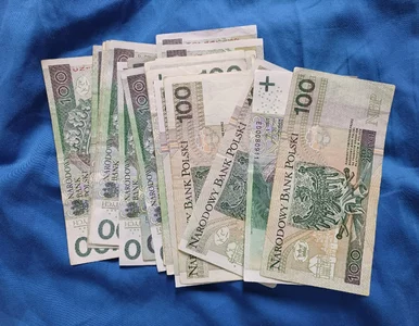 Miniatura: Komu odkładanie w PPK się nie opłaca?...