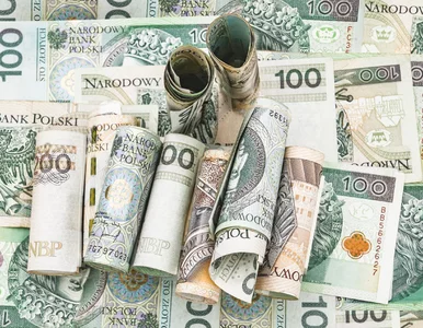 Miniatura: W tym polskim mieście zarabia się...