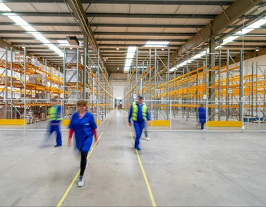 Miniatura: Praca szuka człowieka przed świętami....