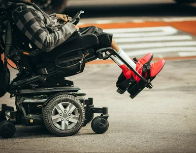 Miniatura: Rewolucja w orzeczeniach o...