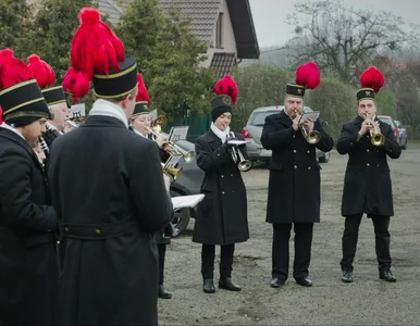 Miniatura: Słodko – gorzka Barbórka. Ustalona...