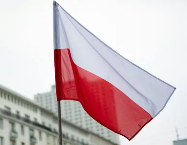 Miniatura: Z podatków Polaków. Ile państwo wypłaciło...