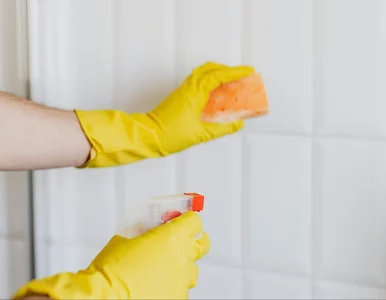 Miniatura: Ile kosztuje sprzątanie przed Wielkanocą?...