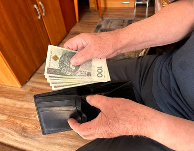 Miniatura: Na co seniorzy przeznaczają 13. i 14....