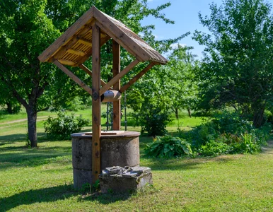 Miniatura: Myślał, że może brać ile chce. Zapłacił...