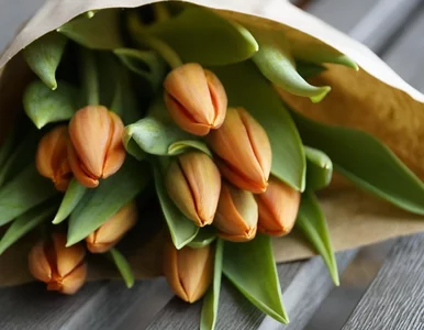 Miniatura: Piękne tulipany przez całe święta?...