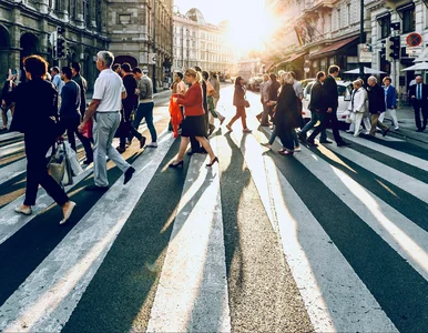 Miniatura: Adres zamieszkania będzie adresem...